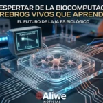 computadora-con-neuronas-humanas